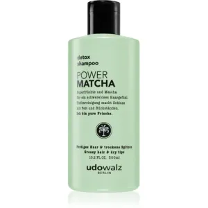 Udo Walz Power Matcha das Reinigungsshampoo für fettiges Haar mit Vitamin C 300 ml
