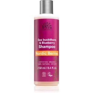 Urtekram Nordic Berries Shampoo für strapaziertes BIO-Haar 250ml
