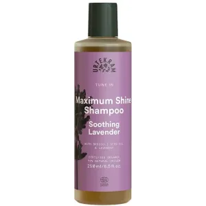 Urtekram Soothing Lavender beruhigendes Shampoo für glänzendes und geschmeidiges Haar 250 ml