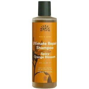 Urtekram Spicy Orange Blossom Shampoo für trockenes und beschädigtes Haar 250 ml