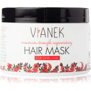 Vianek Maximum Strenght Regenerating regenerierende Maske mit Tiefenwirkung für dunkles Haar 150 ml