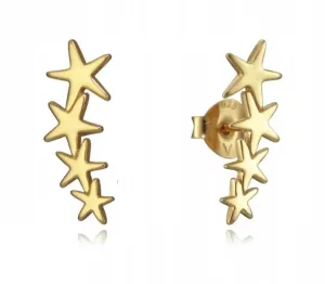 Viceroy Stilvolle vergoldete Ohrringe Sternen 5065E100-08