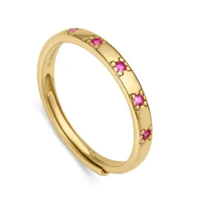 Viceroy Stilvoller vergoldeter Ring mit rosa Zirkonen Trend 9119A01 53 mm