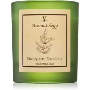 Vila Hermanos Aromatology Eucalyptus Duftkerze 200 g