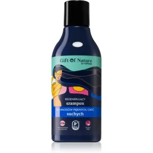 Vis Plantis Gift of Nature Regenierendes Shampoo für trockenes Haar 300 ml