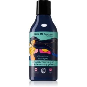 Vis Plantis Gift of Nature Shampoo für fettige Haare 300 ml
