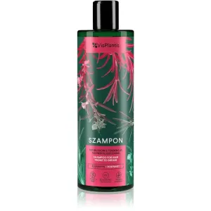 Vis Plantis Herbal Vital Care Rosemary Shampoo für schnell fettiges Haar 400 ml