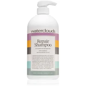 Waterclouds Repair Shampoo mildes Pflegeshampoo 1000 ml