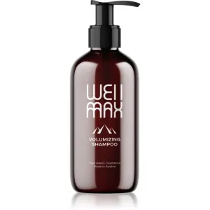 WellMax Volumizing Shampoo Shampoo für mehr Haarvolumen bei feinem Haar 250 ml