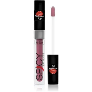 Wibo Lip Gloss Spicy Lipgloss für mehr Volumen 1 3 ml