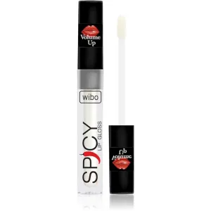 Wibo Lip Gloss Spicy Lipgloss für mehr Volumen 10 3 ml