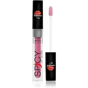 Wibo Lip Gloss Spicy Lipgloss für mehr Volumen 18 3 ml
