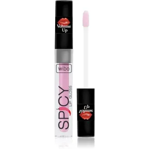 Wibo Lip Gloss Spicy Lipgloss für mehr Volumen 19 3 ml
