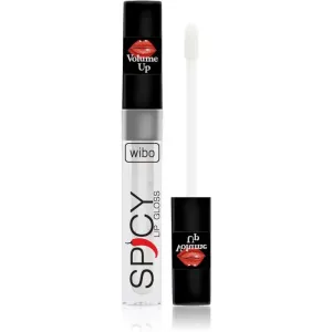Wibo Lip Gloss Spicy Lipgloss für mehr Volumen 21 3 ml