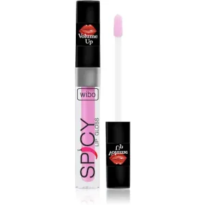 Wibo Lip Gloss Spicy Lipgloss für mehr Volumen 3 3 ml