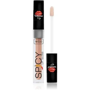 Wibo Lip Gloss Spicy Lipgloss für mehr Volumen 7 3 ml