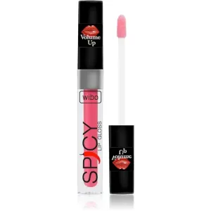 Wibo Lip Gloss Spicy Lipgloss für mehr Volumen 8 3 ml