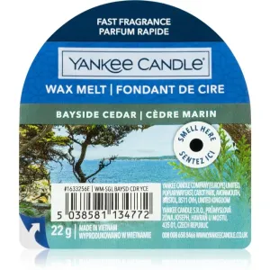 Yankee Candle Bayside Cedar duftwachs für aromalampe 22 g