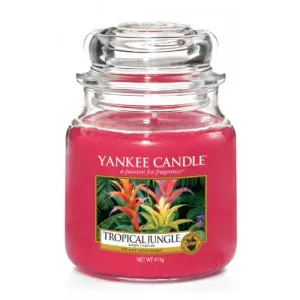 Yankee Candle Aromatische Kerze mittlere Tropical Jungle 411g