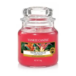 Yankee Candle Duftkerze Classic kleine Tropical Jungle 104g