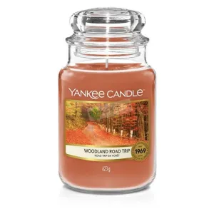 Yankee Candle Aromatische Kerze Classic groß Woodland Road Trip 623 g