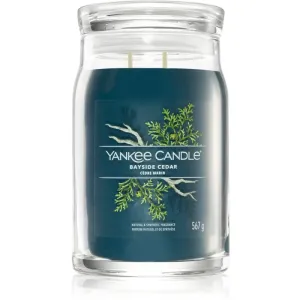 Yankee Candle Aromatische Kerze Signature großes Glas Bayside Cedar 567 g