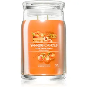 Yankee Candle Aromatische Kerze Signature großes Glas Farm Fresh Peach 567 g