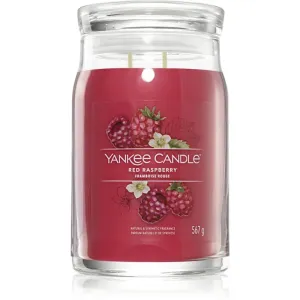 Yankee Candle Aromatische Kerze Signature großes Glas Red Raspberry 567 g