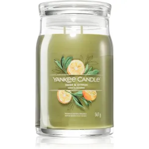 Yankee Candle Aromatische Kerze Signature großes Glas Sage & Citrus 567 g