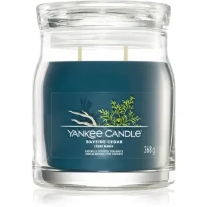 Yankee Candle Aromatische Kerze Signature mittleres Glas Bayside Cedar 368 g
