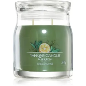 Yankee Candle Aromatische Kerze Signature mittleres Glas Sage & Zitrus 368 g