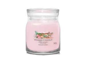 Yankee Candle Aromatische Kerze Signature Glas Mittelgroß Desert Blooms 368 g
