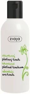 Ziaja Cucumber Reinigungstonikum für fettige und Mischhaut 200 ml