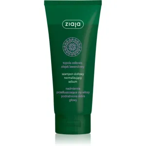 Ziaja Herbal Shampoo für fettige Haare 200 ml