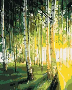 Zuty Birken im beleuchteten Wald