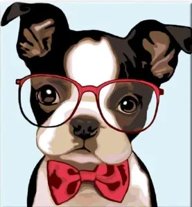 Zuty Malen nach Zahlen Bulldogge mit Brille