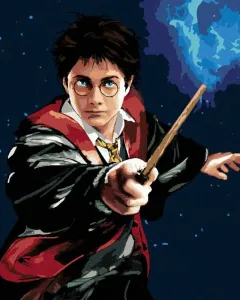 Zuty Malen nach Zahlen Harry Potter und der Zauberstab