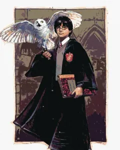 Zuty Malen nach Zahlen Harry Potter und Hedwig in Hogwarts